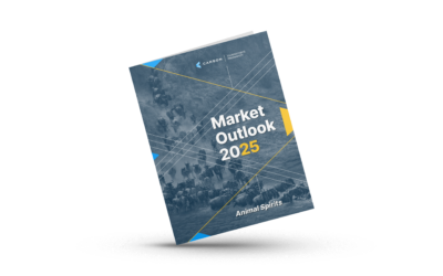 Market Outlook 2025: Animal Spirits