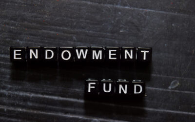 Creating a Charitable Endowment: Long-Term Support Strategies for Your Causes