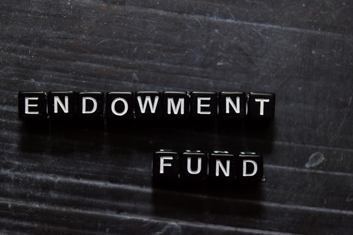 Endowment Fund on wooden cubes.